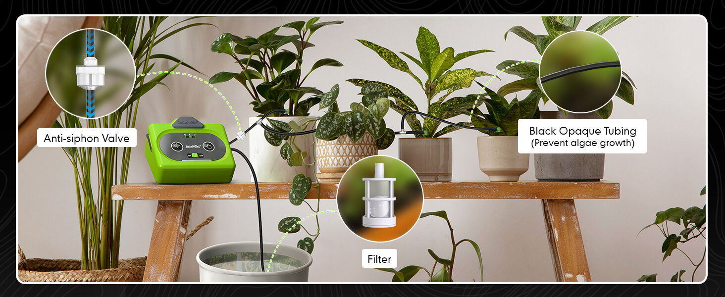 Various potted plants displayed on a wooden shelf with gardening tools.