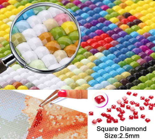 Should I Buy ROUND or SQUARE Diamonds Painting Drills? – Heartful