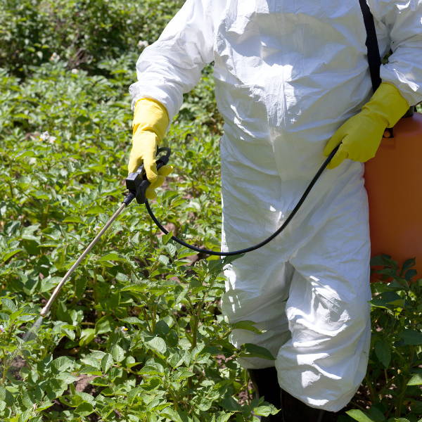 Therasage - Human Elimination of Organochlorine Pesticides: Blood, Urine, and Sweat Study