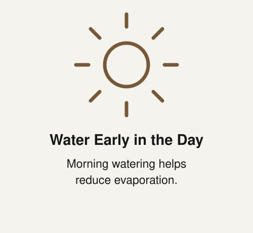 Sun icon with text about watering plants early to reduce evaporation.