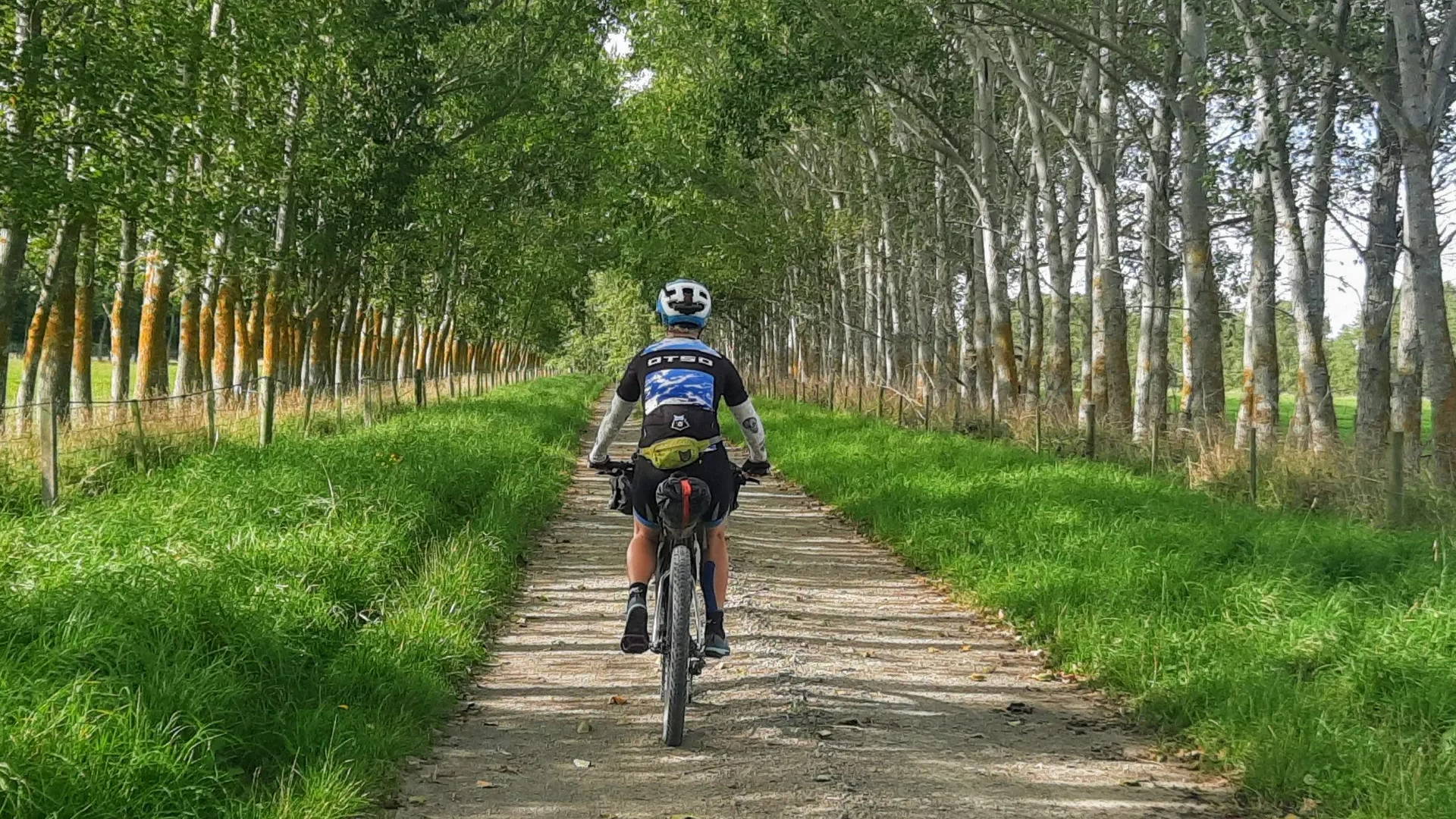 A cyclist rides along a tree-lined gravel road.