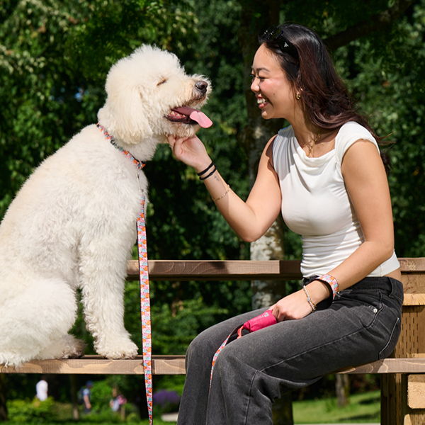 A woman interacts joyfully with a fluffy dog in a park.