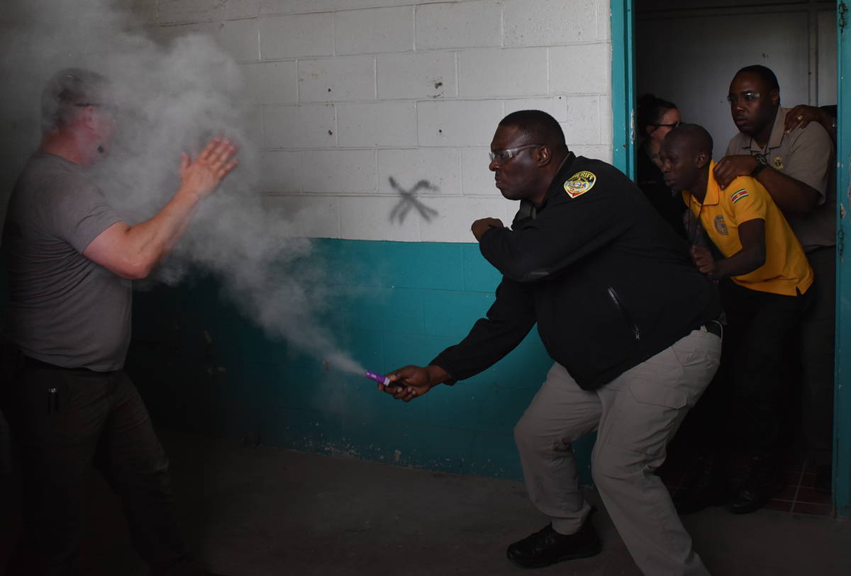 A police officer uses pepper spray on an individual in a confined space.