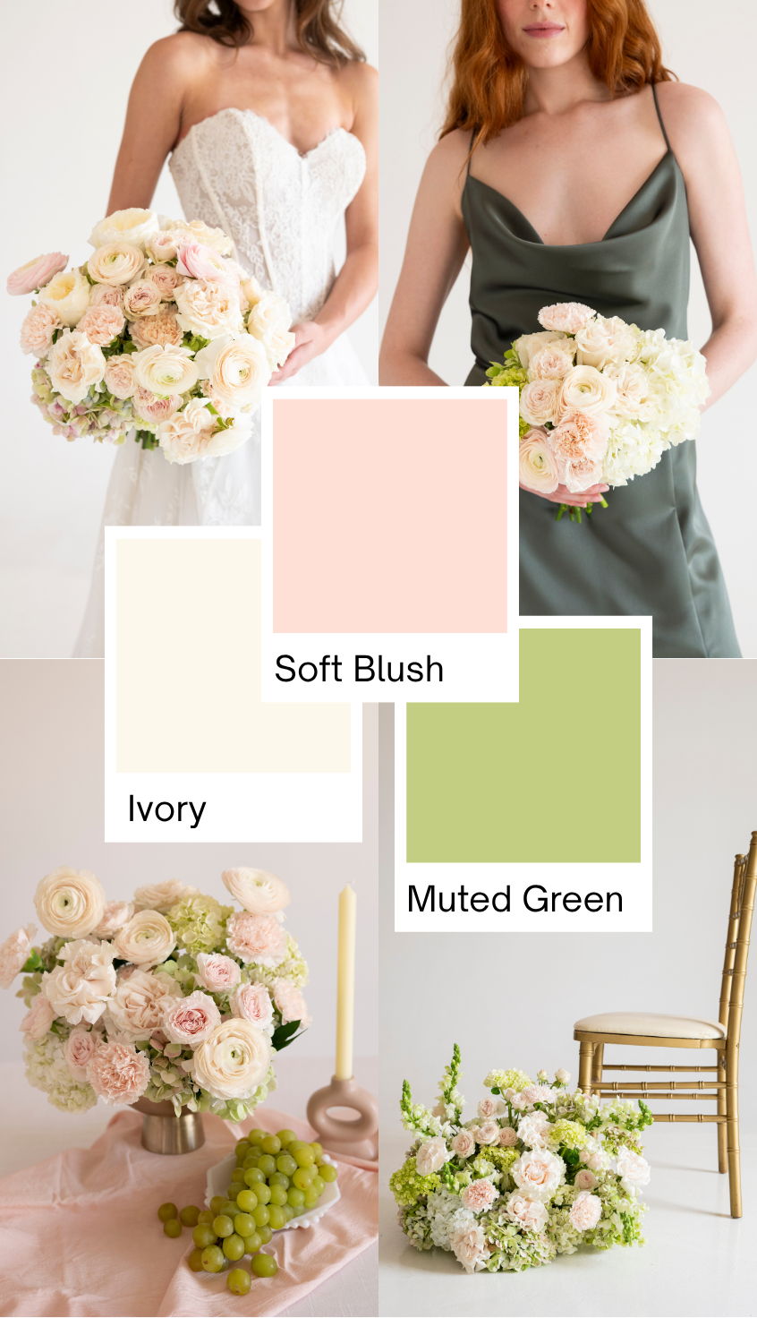 Blushing Hydrangea