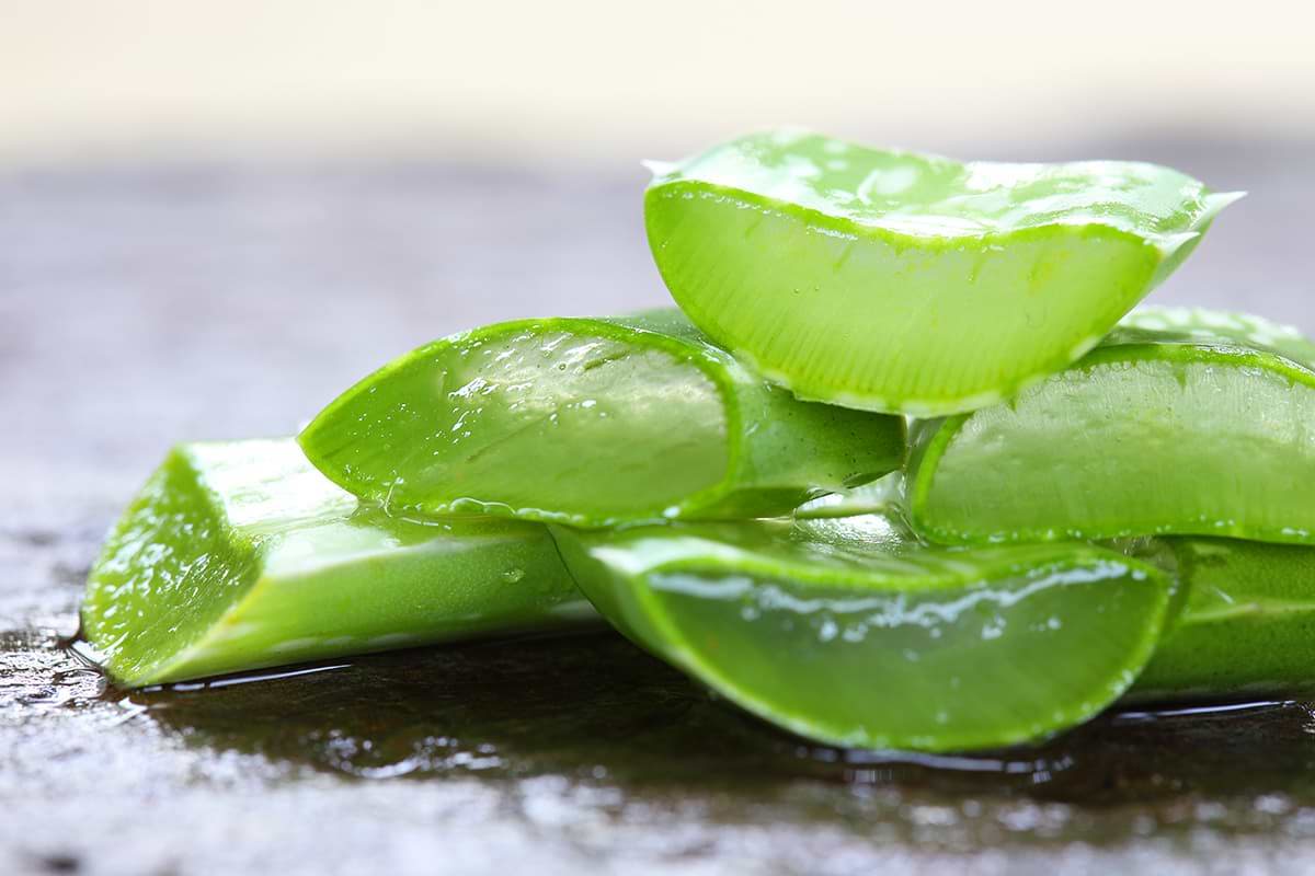 Aloe Vera Gel: Schne Haut mit der Wunderpflanze by Irina Kapatschinski