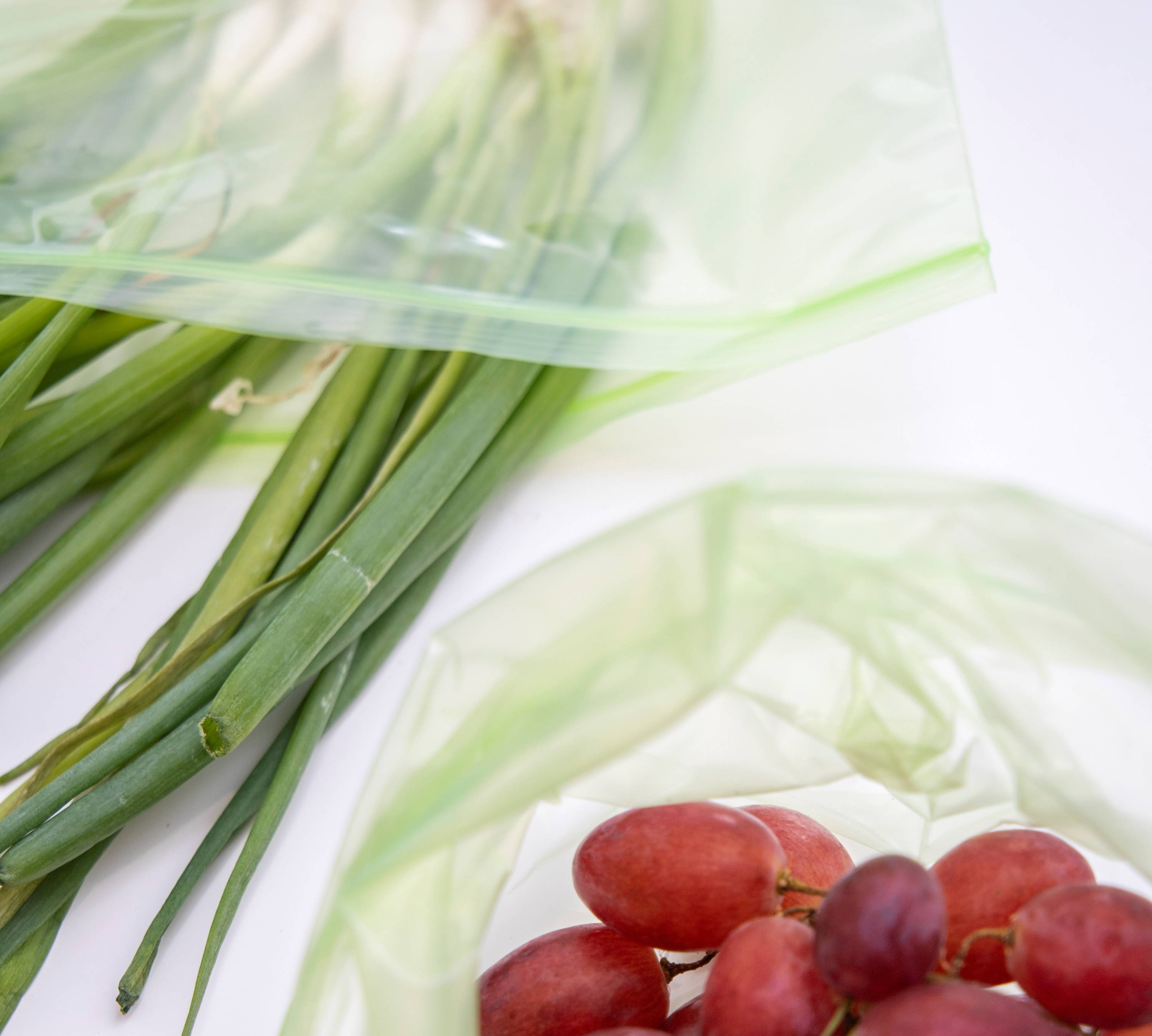 Spring onion on MasterClass Zipped Fresh bag