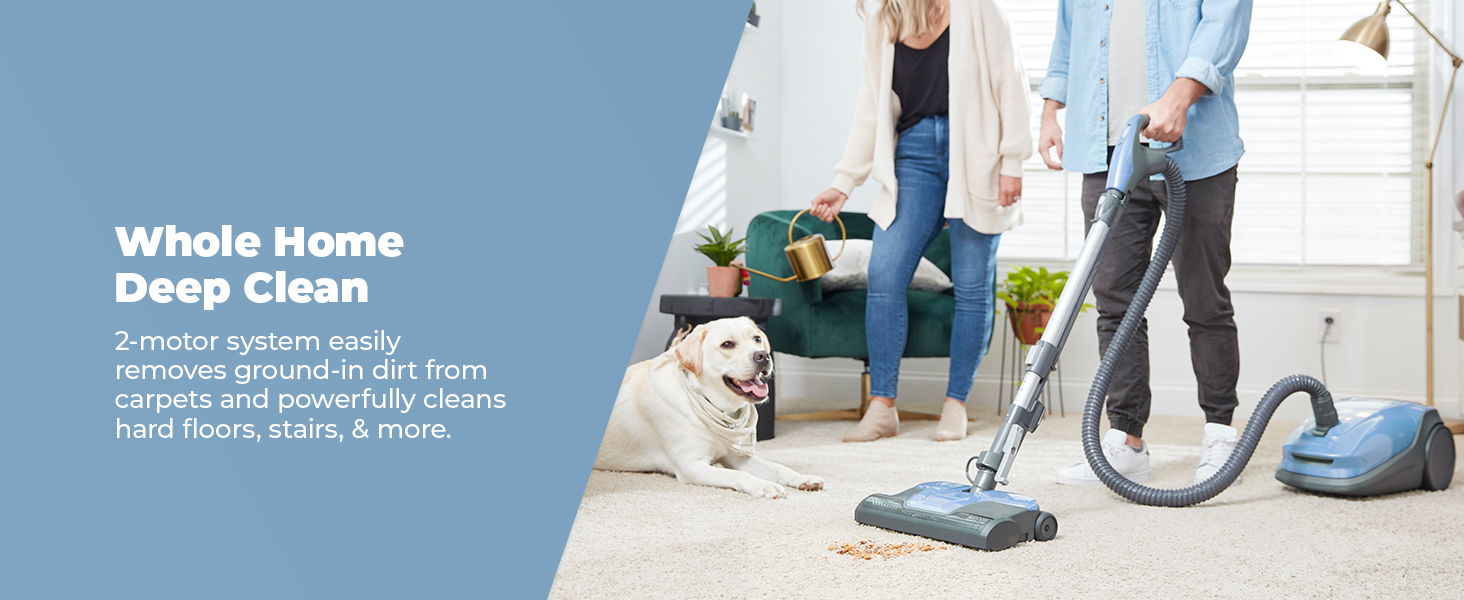 Person vacuuming a carpet with a dog nearby in a clean home.