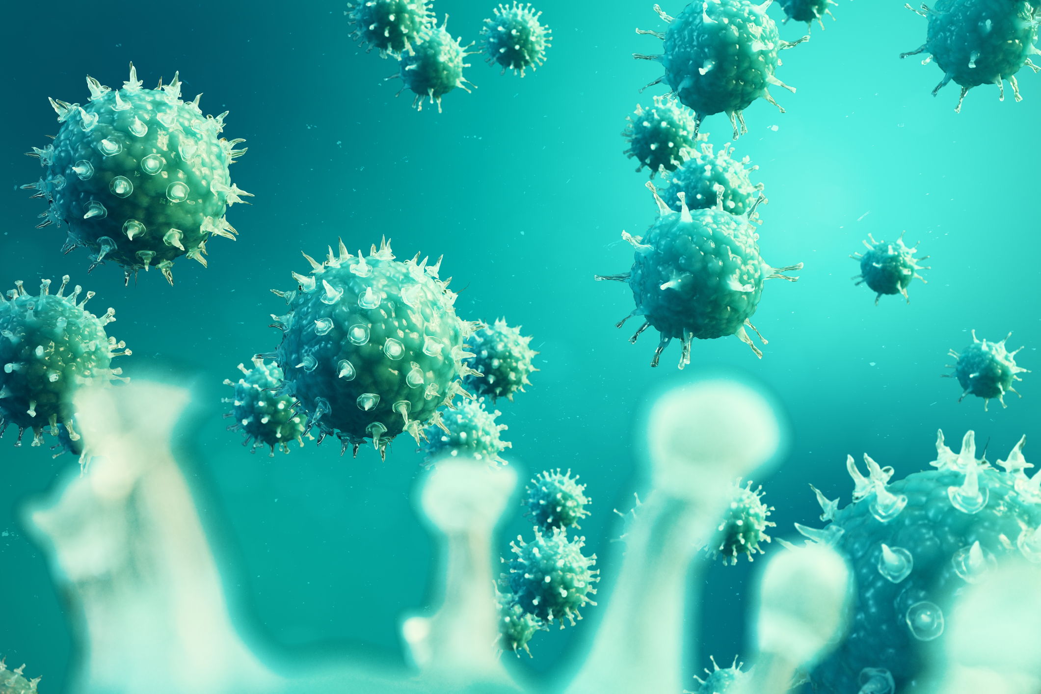 Virus Contaminants