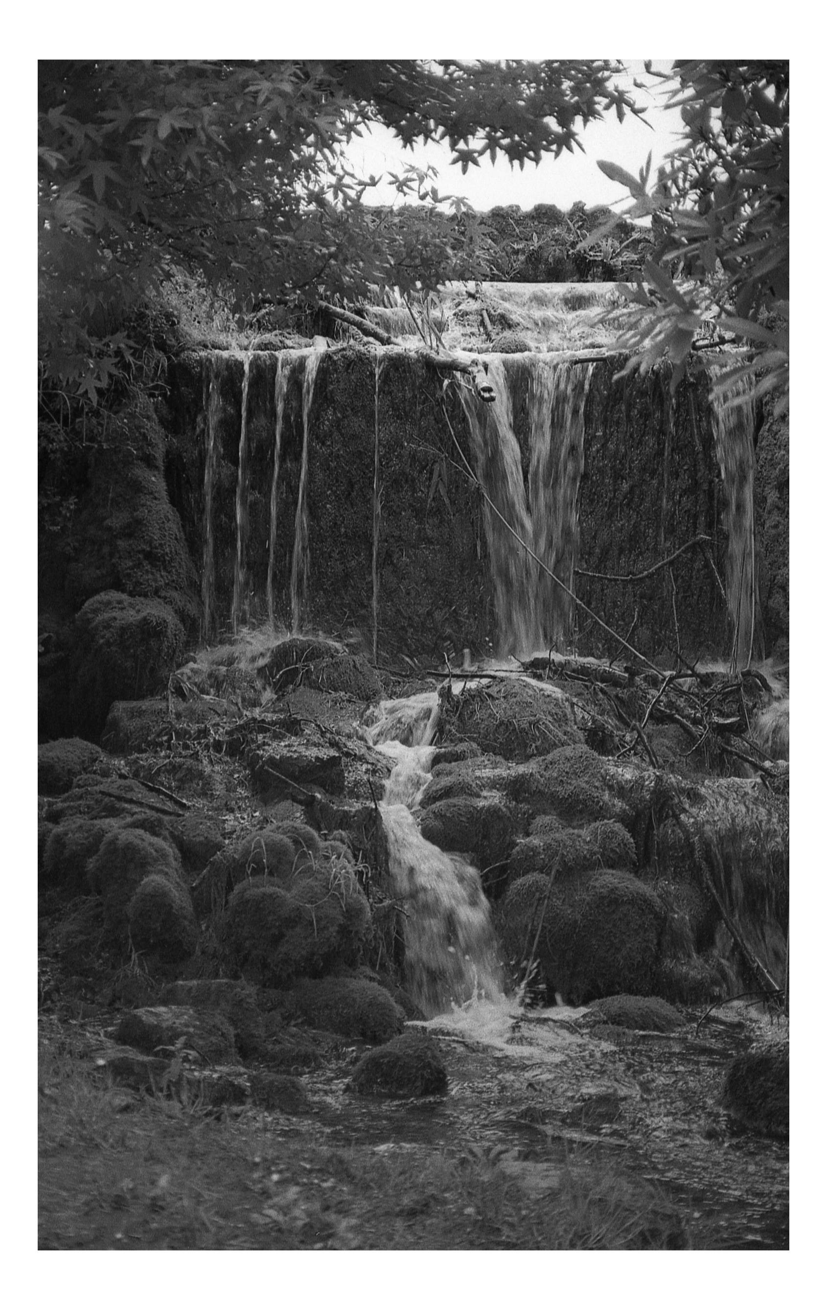 The Budget Photography Challenge| Jason Lancombe 