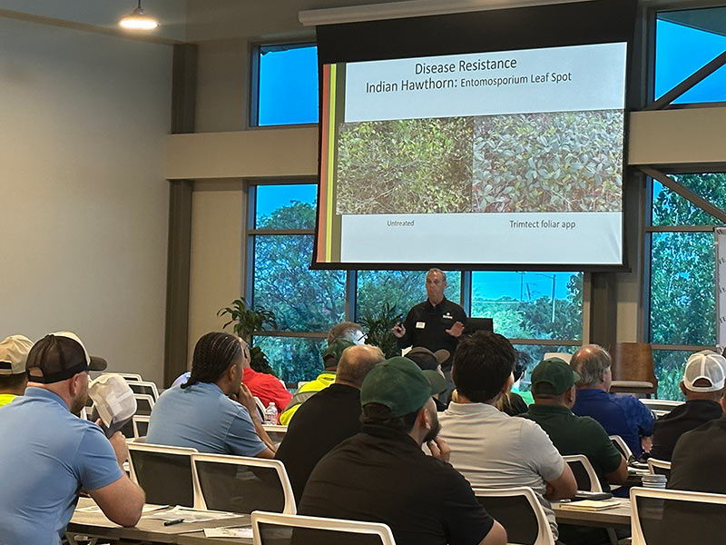 Dallas workshop