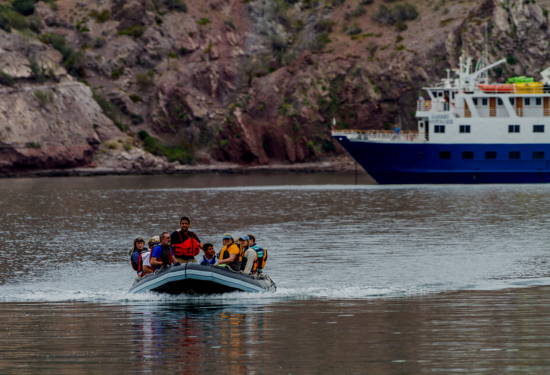 small ship cruises sea of cortez