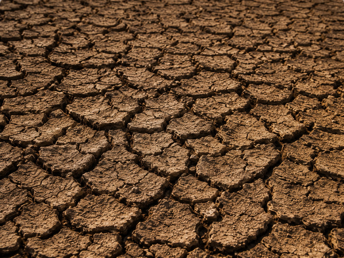 Cracked dry soil surface in a brown, arid landscape.