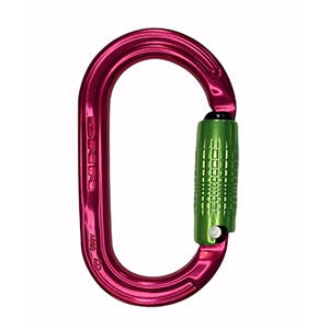 image of Tree Punk DMM Oval Carabiner