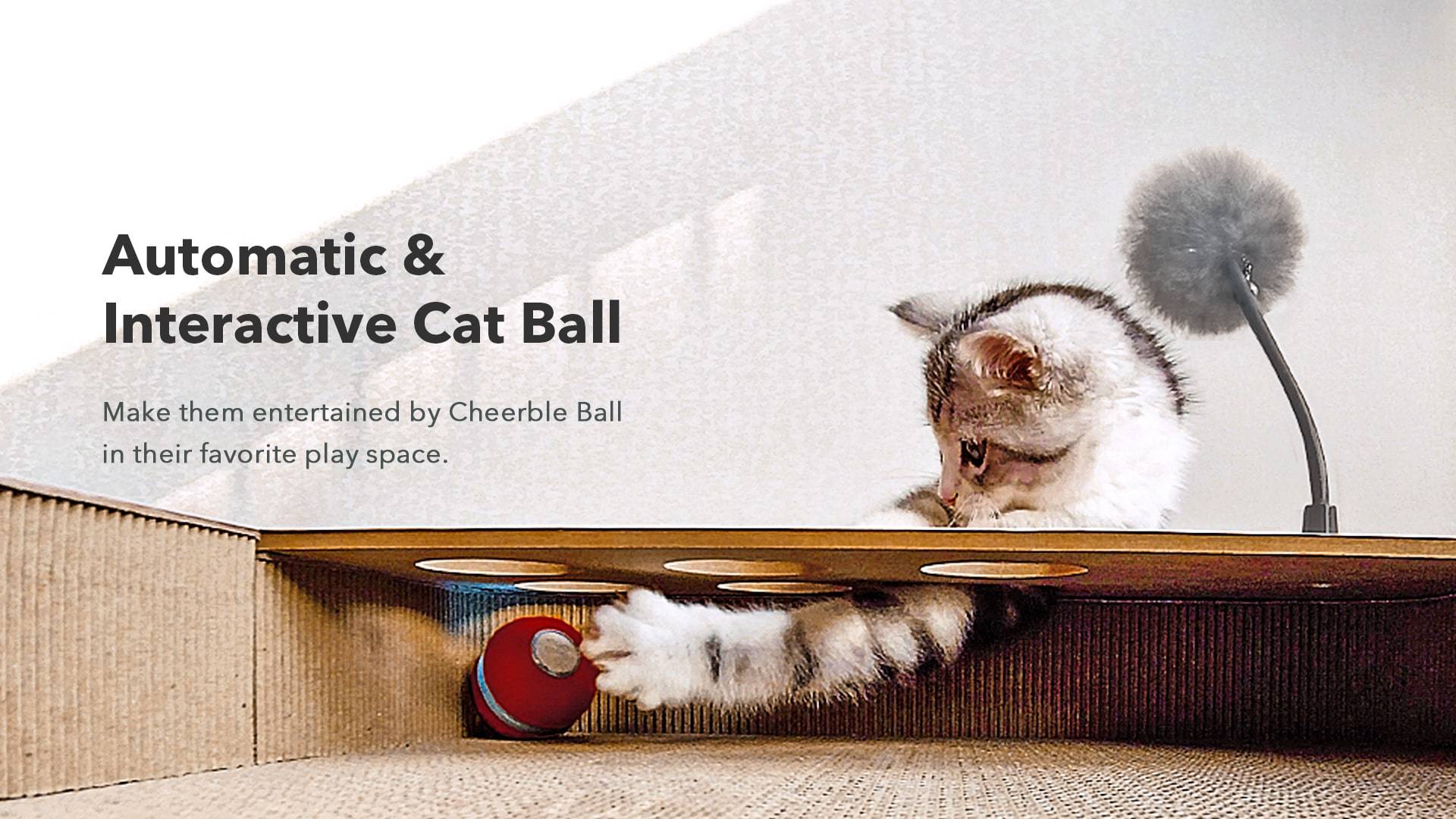 Automatic & Interactive Cat Ball