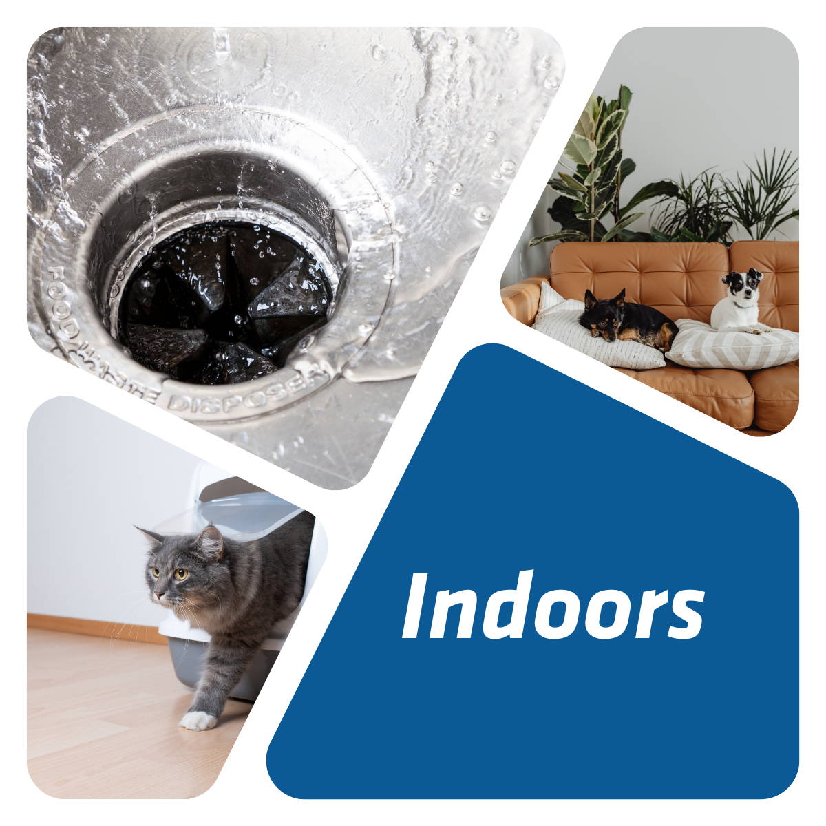 Indoor waste and odor solutions