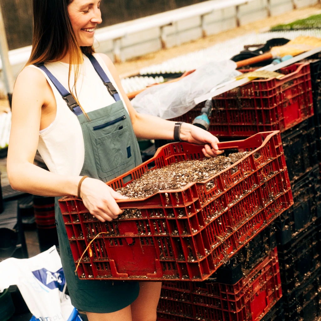 Woman carrying red crates filled with soil or seeds at a farm.