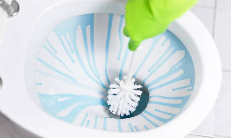 a toilet brush scrubbing a toilet bowl