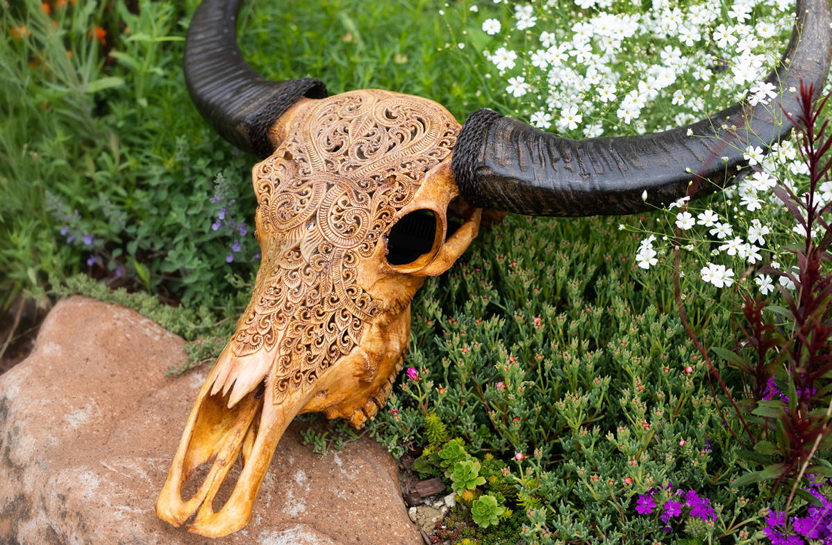 Buffalo Skull Meaning, Culture & Art | Skull Bliss