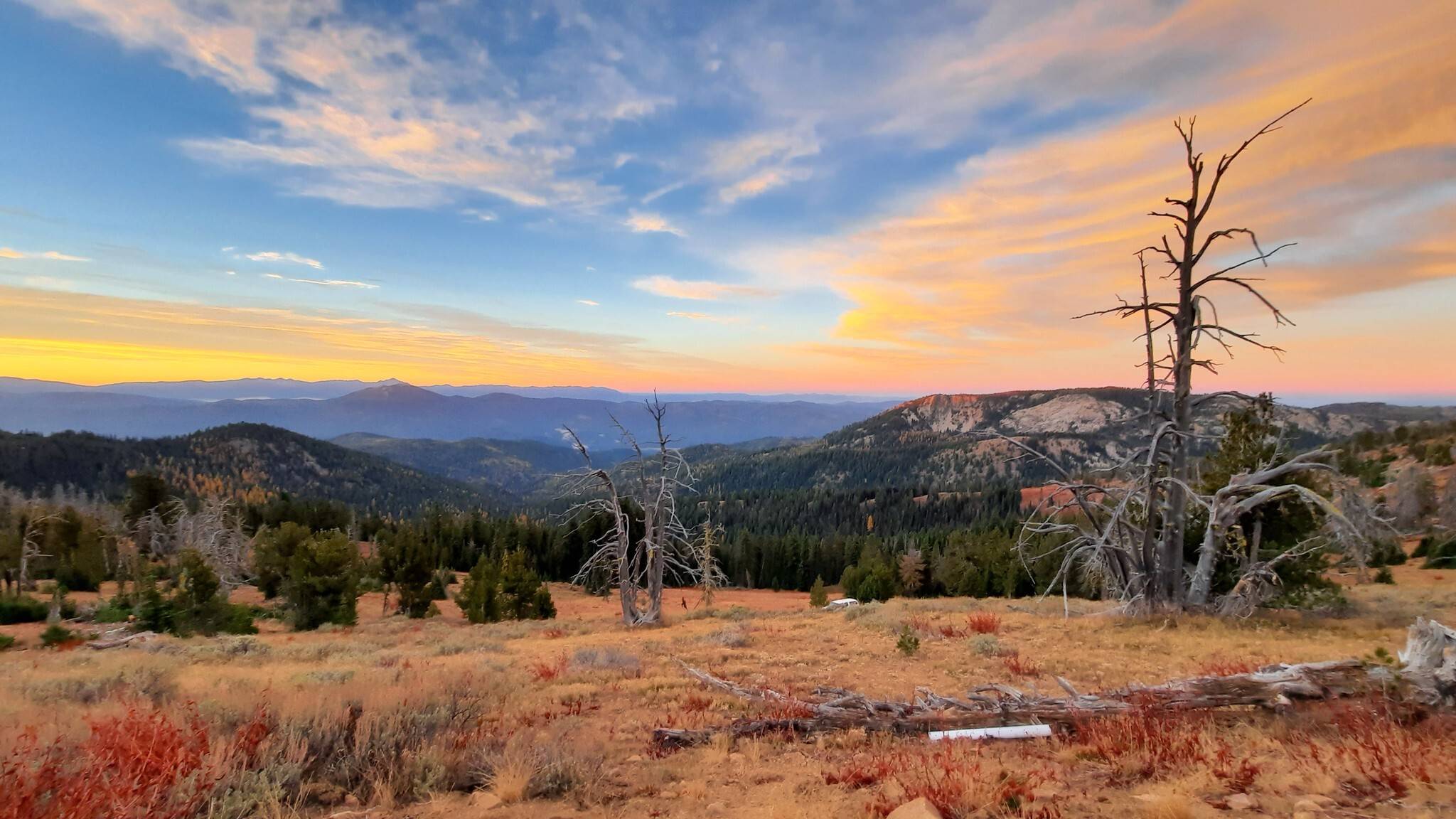 Renee She-ra Patcrick Blue Mountain trail