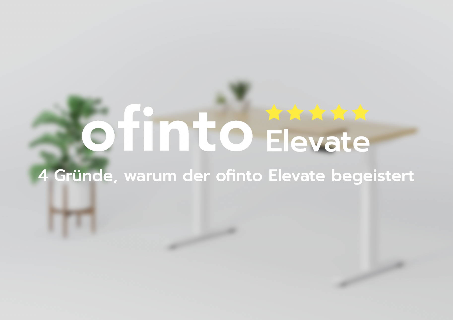 The best adjustable office desk: 4 reasons why ofinto Elevate inspires our customers