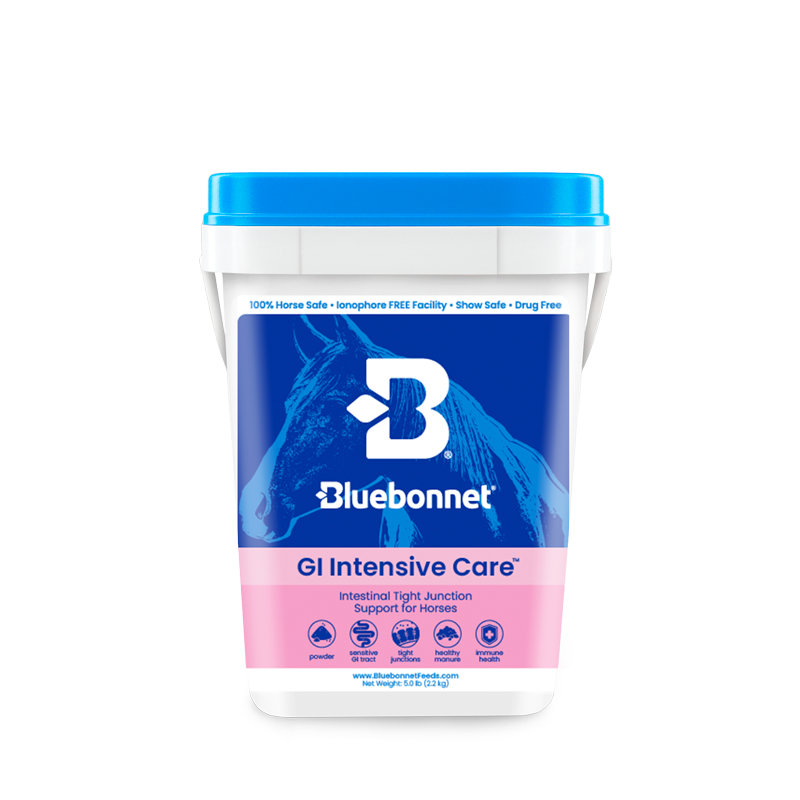 Bluebonnet GI Intensive Care supplement container with blue and pink design.