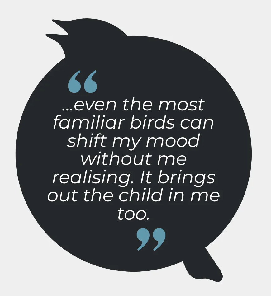 James Lambrou co-founder of LYFER quote