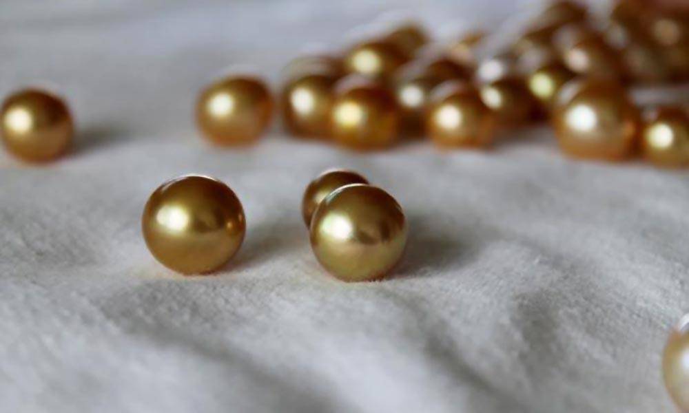 Golden South Sea Pearl Overtones: Green and Bronze