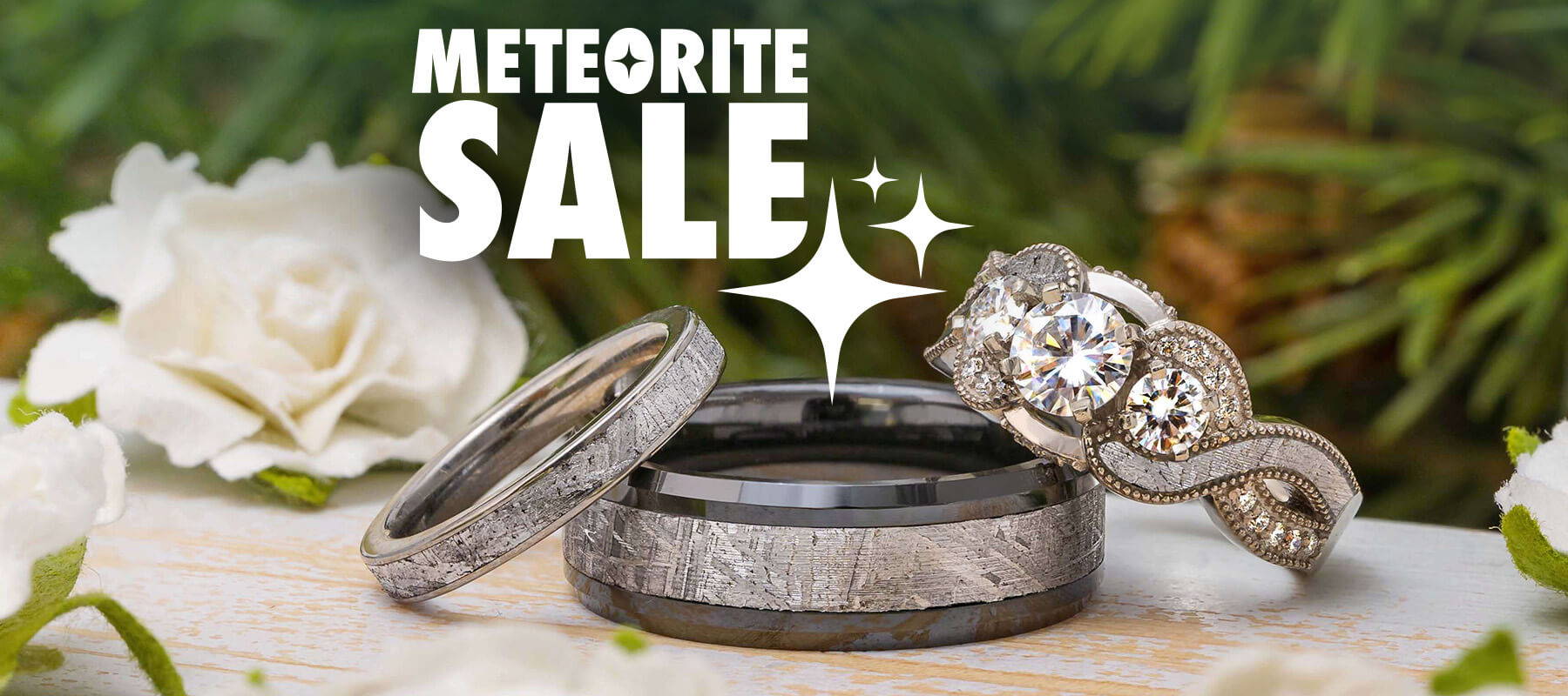 Meteorite Sale 2023