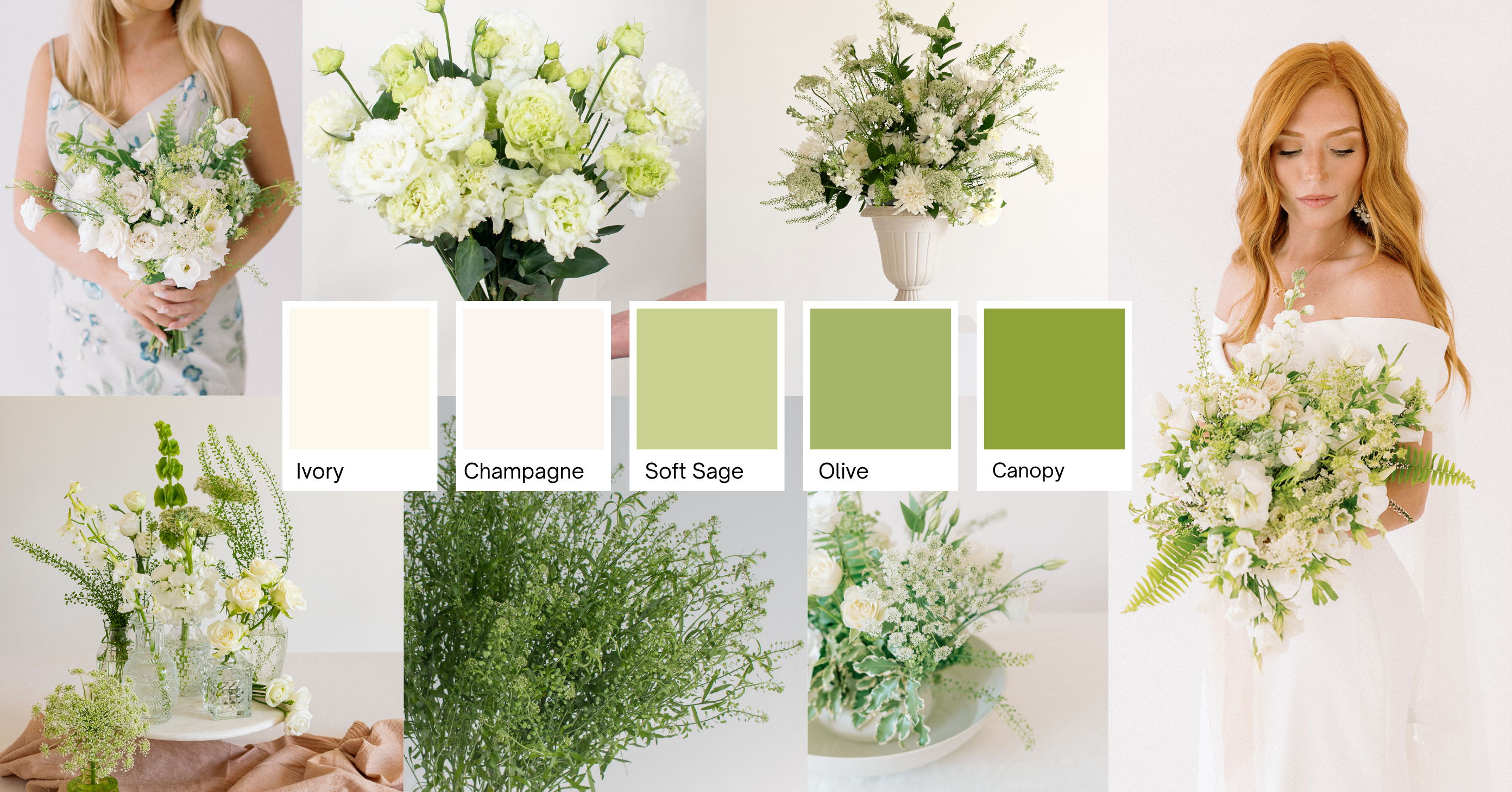 meadow white header
