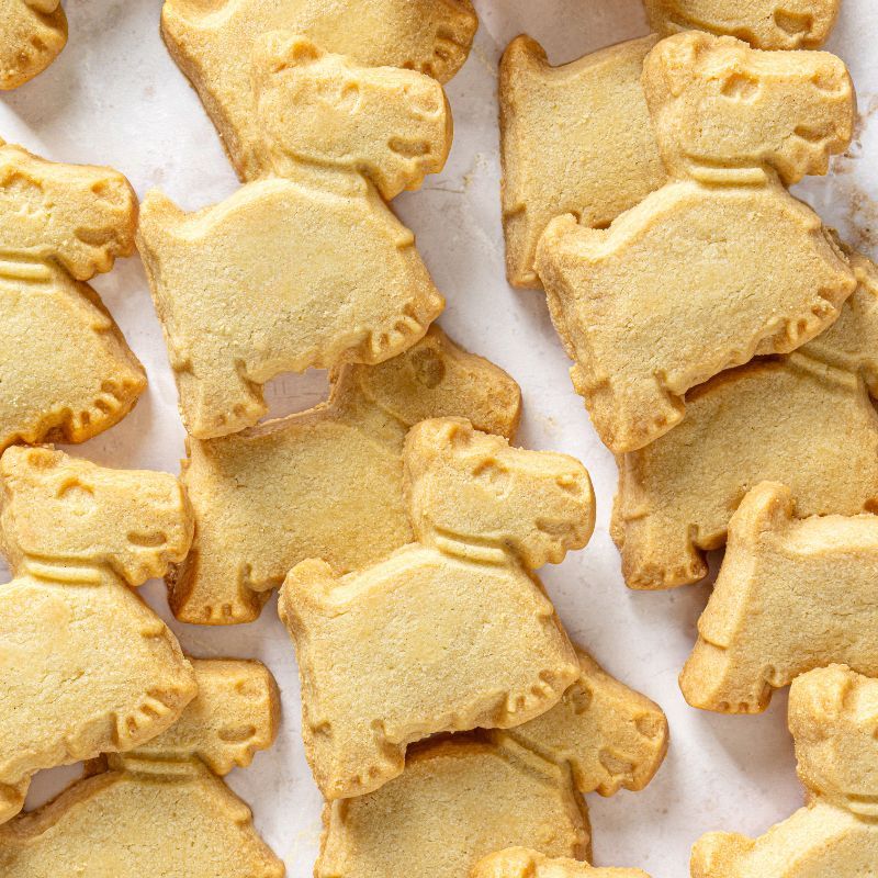 A collection of animal-shaped cookies arranged on a surface.