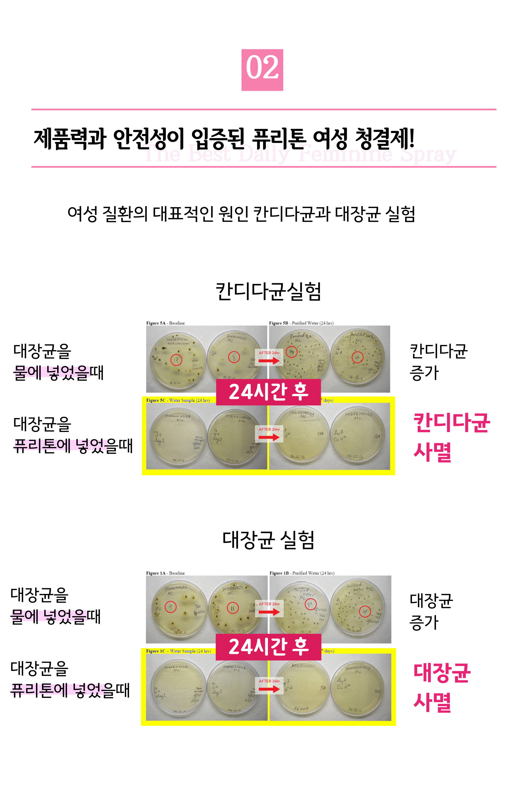 퓨리톤 여성 청결제 효과 the best daily feminine spray  반광염 가려움증 징 냄새건조증 냉대하 퓨리톤 특허증 실험결과 항 바이러스 특허 질벽에 바이러스가 침투하는것을 예방, 바이러스 트러블 완화