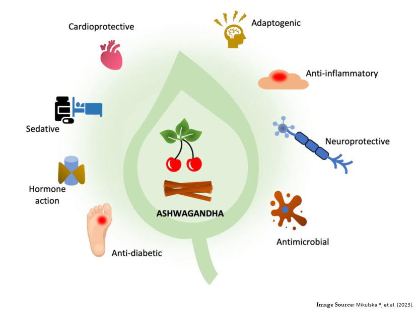 Diagram illustrating health benefits of ashwagandha with related icons.