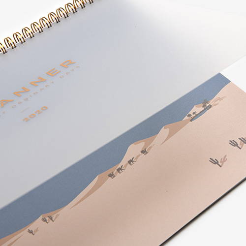 PP cover - 2020 D point A4 dated monthly desk planner scheduler
