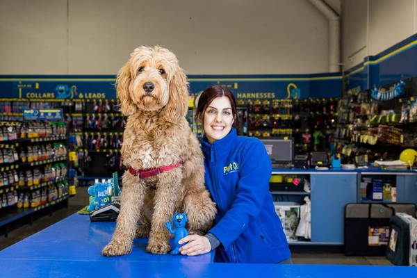 A dog sitting on the counter at a pet store, with a staff member beside themstore