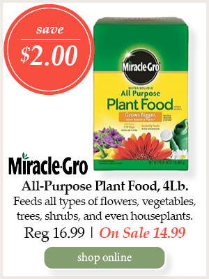 Miracle-Gro All-Purpose Plant Food, 4-pound - Save $2.00! Feeds all types of flowers, vegetables, trees, shrubs, and even houseplants. | Regular price $16.99. On Sale $14.99. | Shop Online