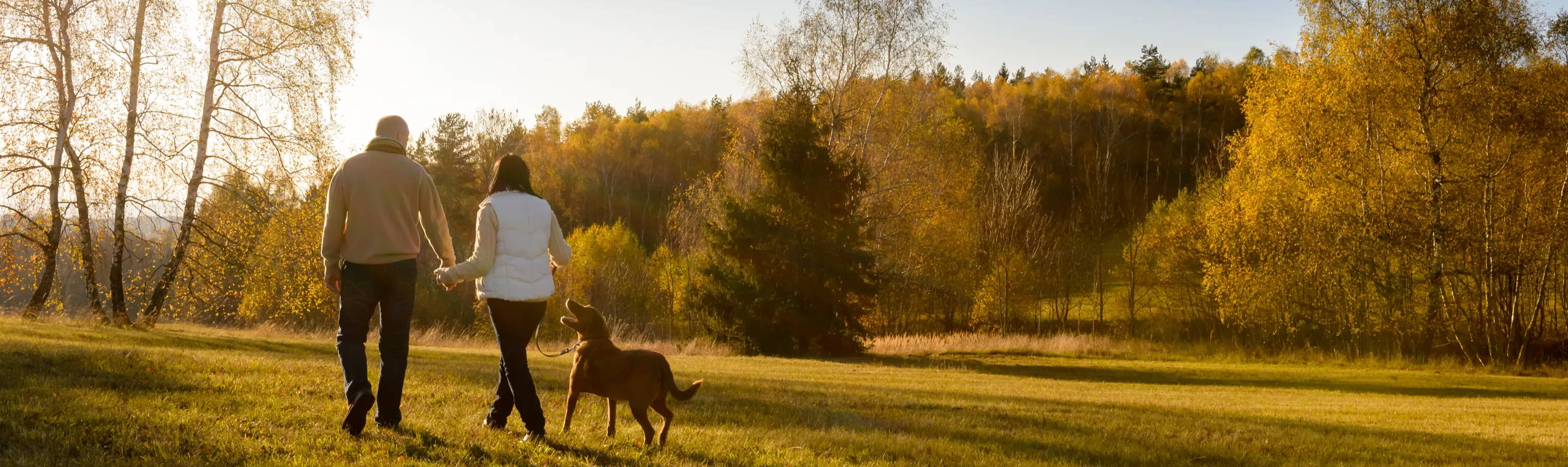 Photo of two middle aged people with a dog walking in the park that reads Helping Nature Help you. Our products are formulated using the finest nature derived, farmed and extracted in the US and then used to manufacture PXP hemp products in our FDA and GMP-certified facilities in united states