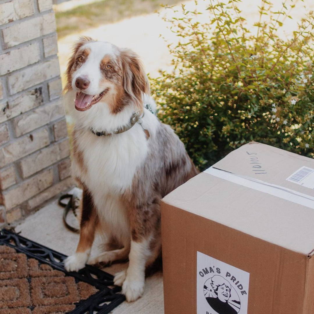 Dog smiling next to house, door mat, and delivery box.