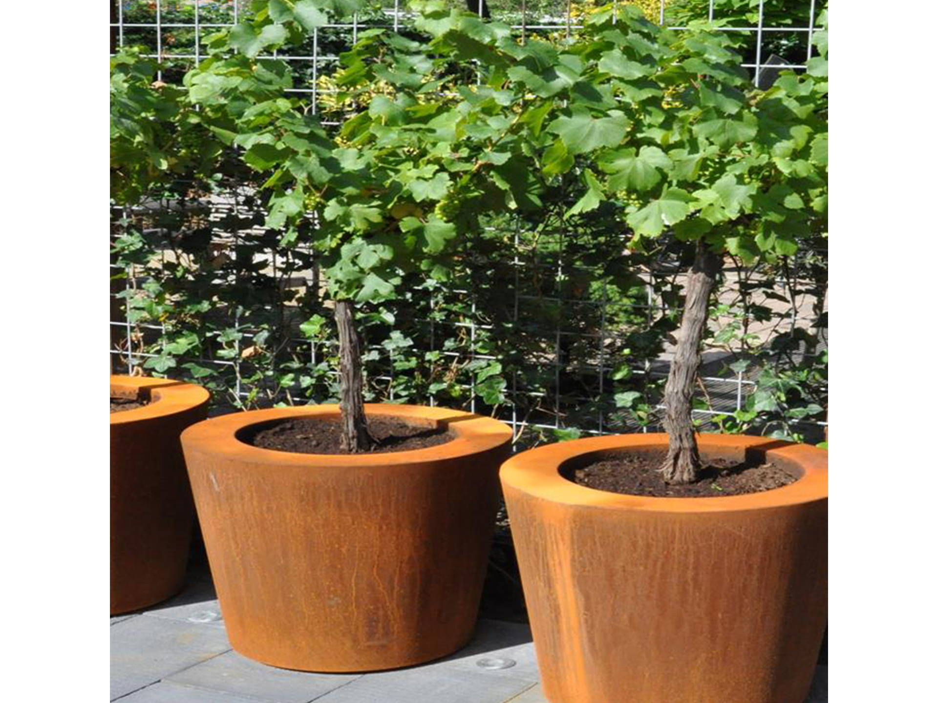 5 redenen om cortenstalen plantenbakken in je tuin te plaatsen