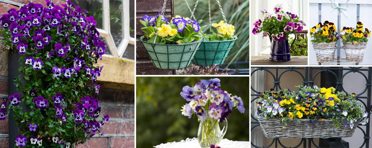 Idées créatives pour un jardin printanier