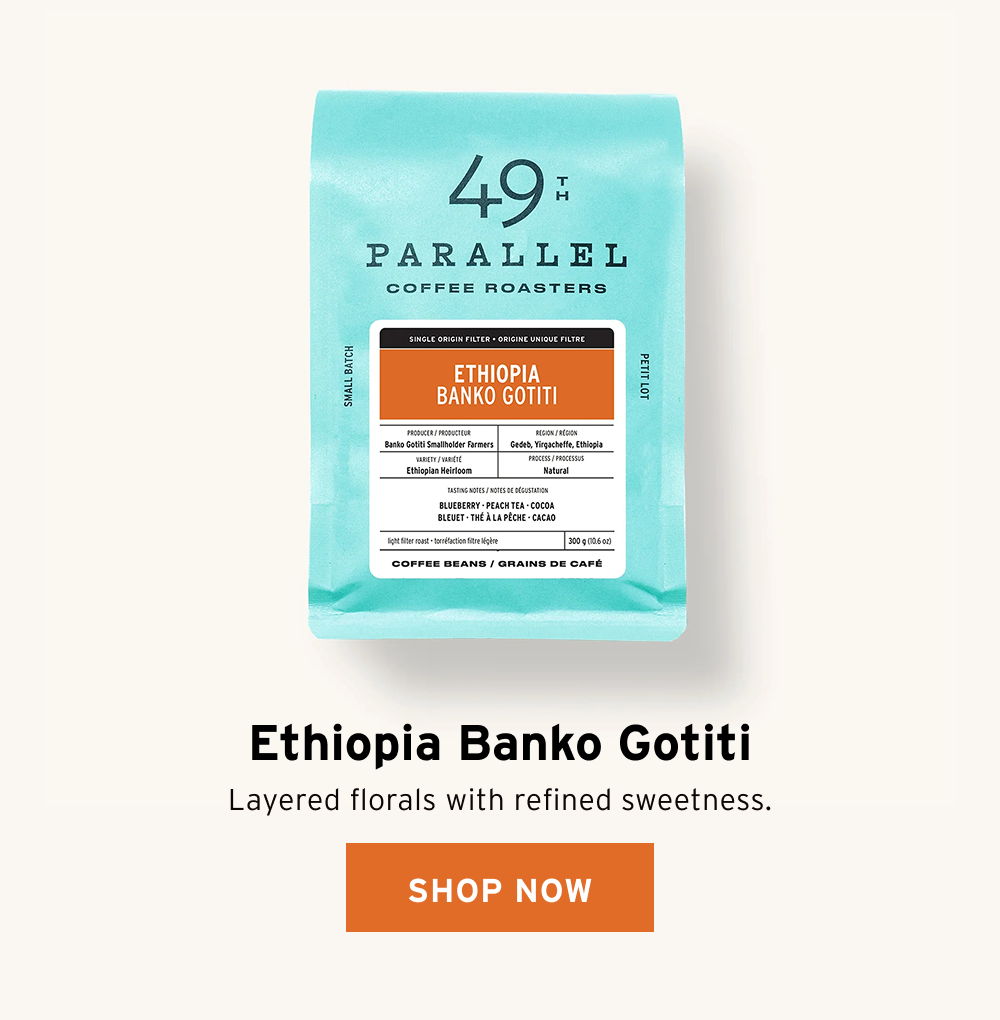 49th Parallel Coffee | Ethiopia Banko Gotiti