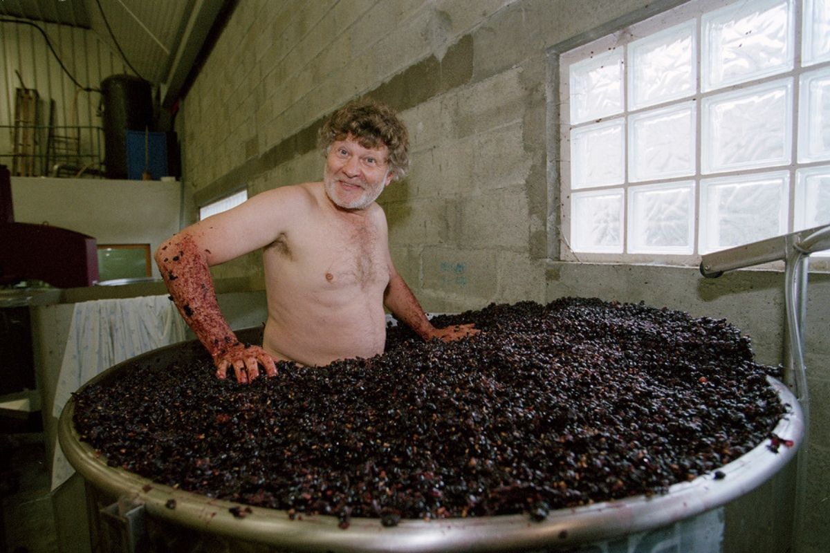 Jean-Michel Deiss Foot Treading his Pinot Noir in Bergheim, Alsace, France by Claes Lofgren
