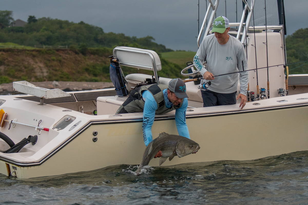 Go Time for Fall Stripers – G. Loomis US