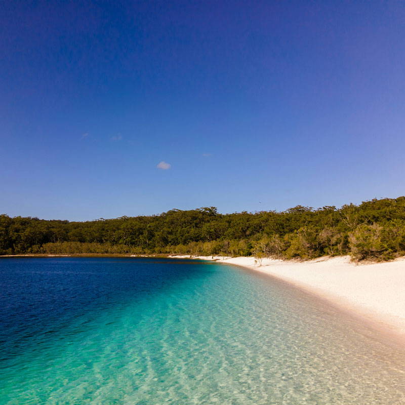 K’Gari Island, Fraser Island, Queensland