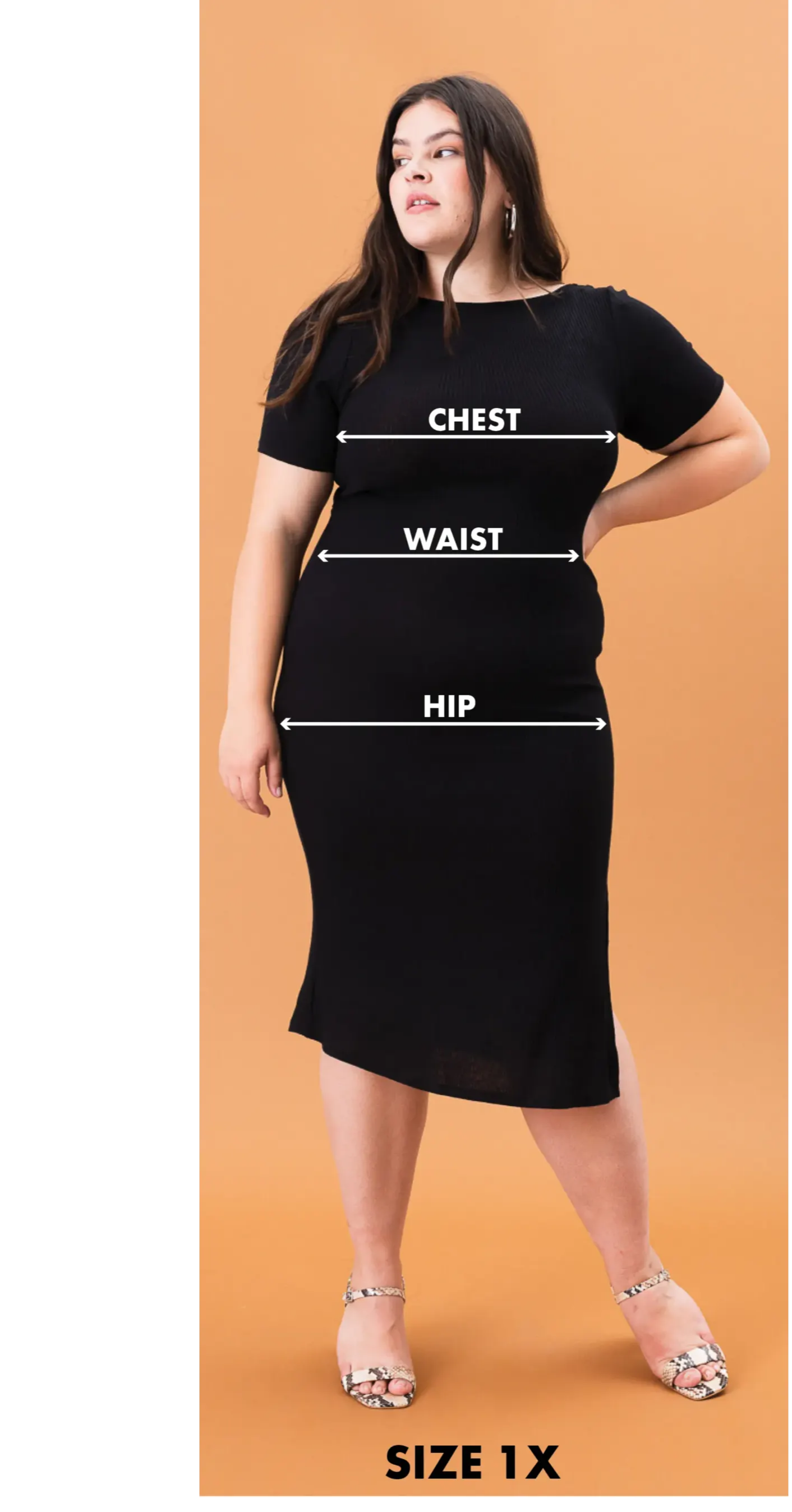 Trixxi junior plus size image of 1X girl with area measurement guides at the bust, waist, and hip.