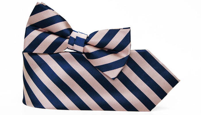 Navy blue and blush striped necktie and bow tie