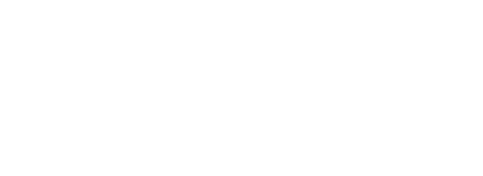 Norqain Logo