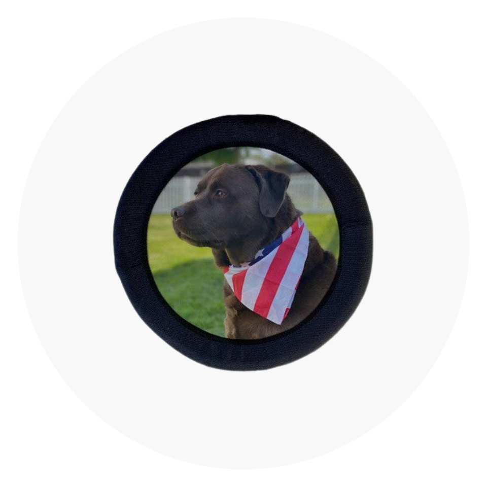 FOTOFrisby