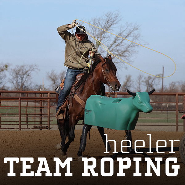 Cowboy roping a dummy steer while riding a horse in a rodeo setting.