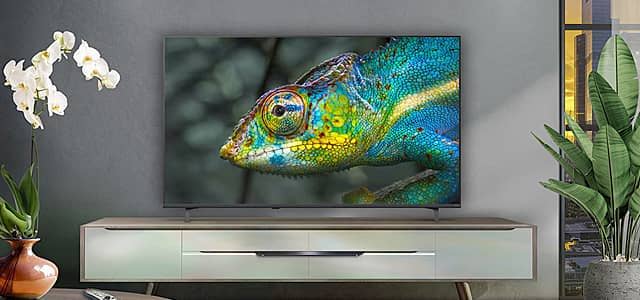 A colorful chameleon displayed on a modern television in a stylish living room.
