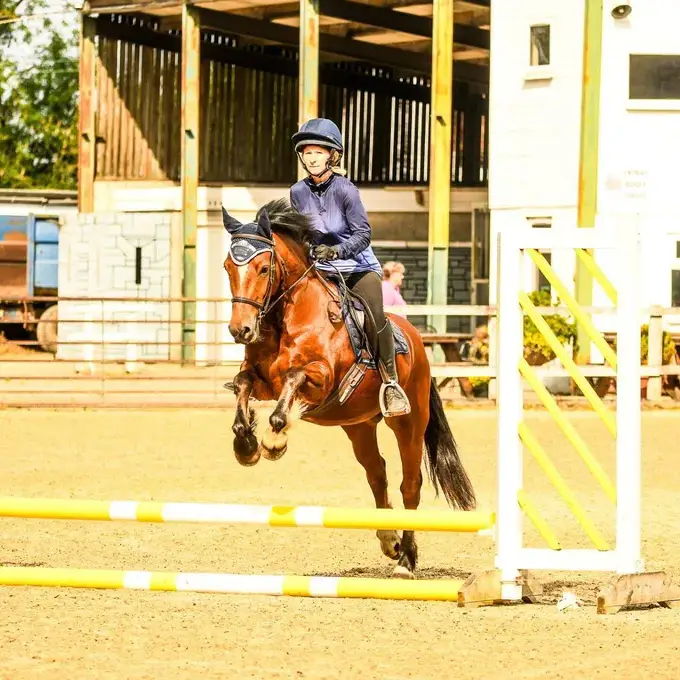 MANE & TAIL Results_Joanne Parkes